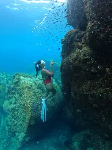 Bunker Koh Tao Snorkeling Adventure