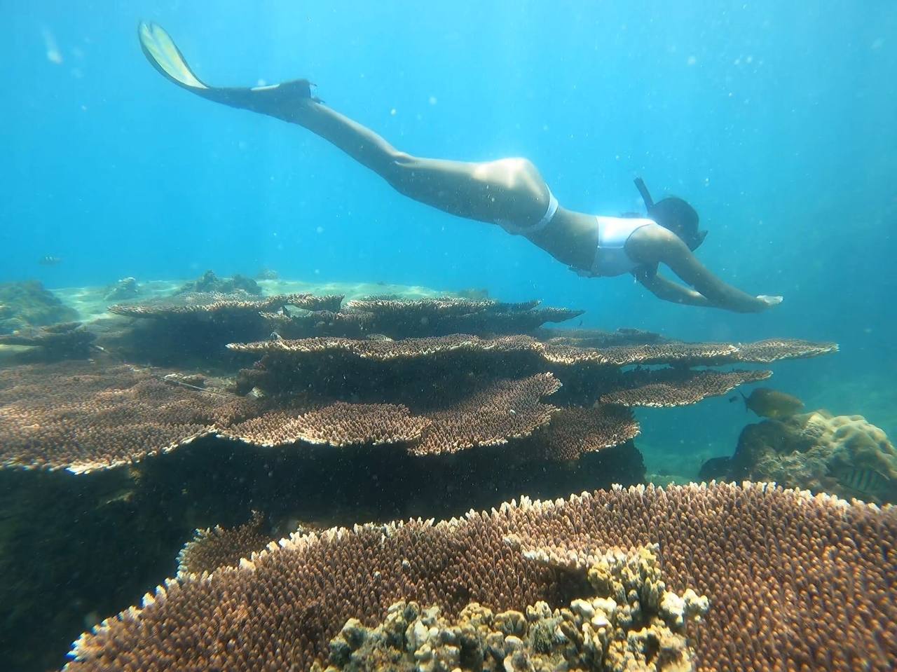 Bunker Koh Tao Snorkeling Adventure